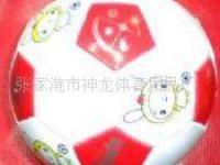 張家港市神龍體育用品